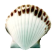 Shell icon